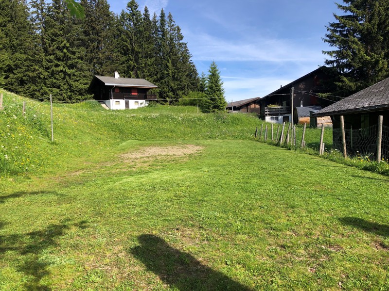 The green alp around the house, with pine forest and distant chalets